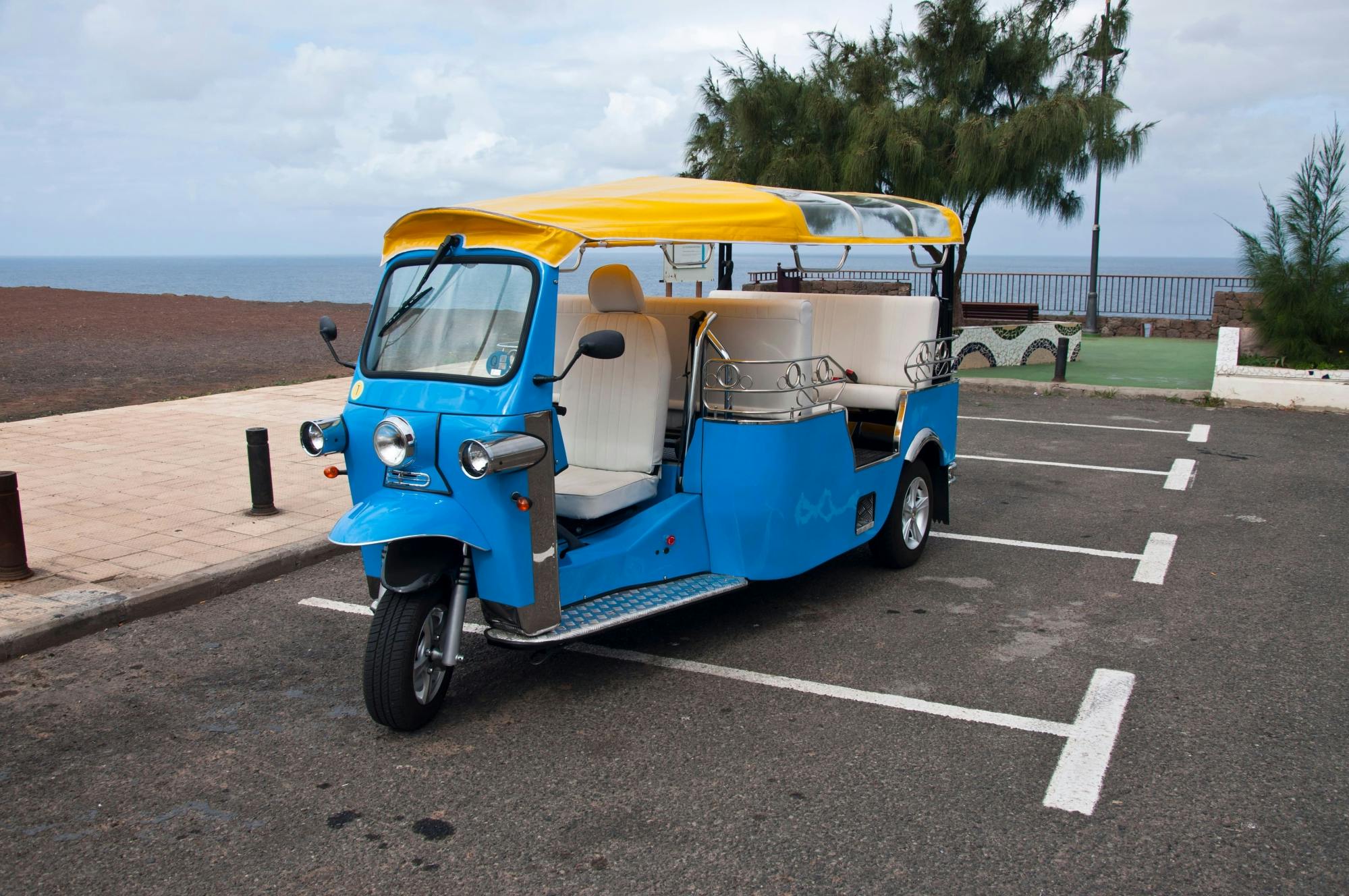 Southern Gran Canaria Tuk-Tuk Tour with Local Market
