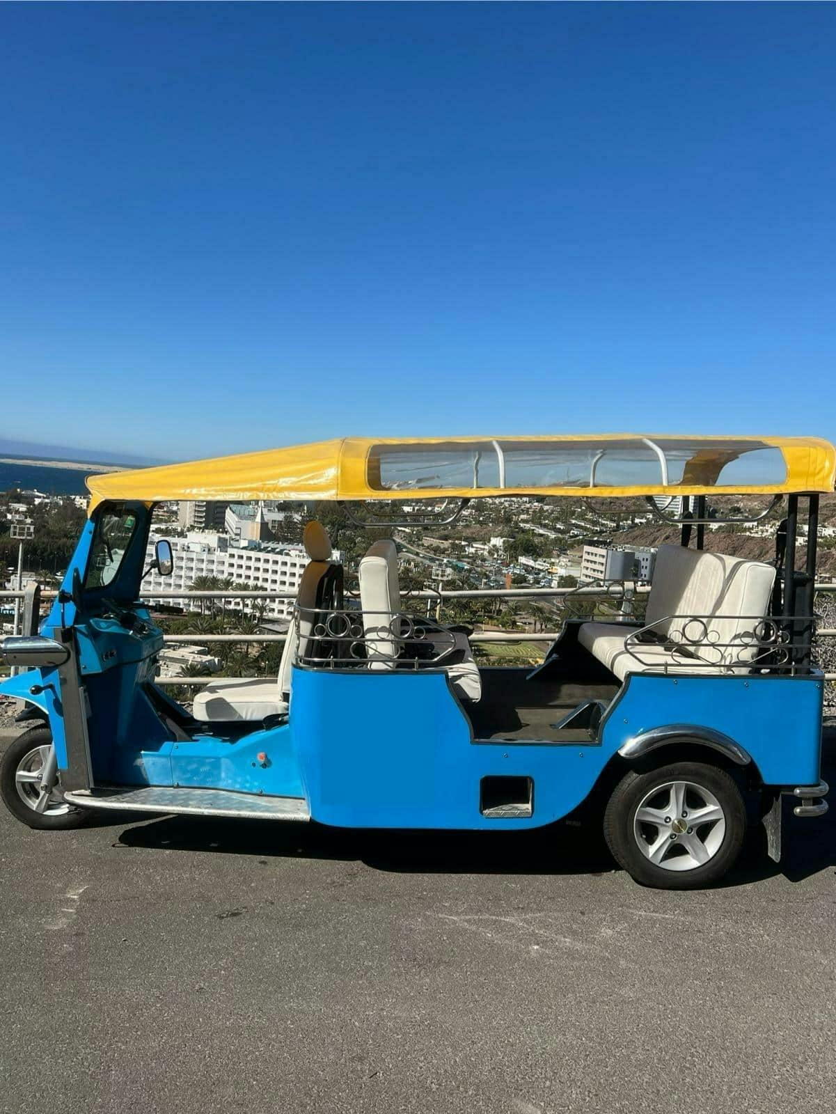 Southern Gran Canaria Tuk-Tuk Tour with Local Market