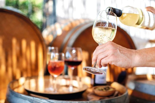 Exclusive small group Salento wine experience from Ionian coast