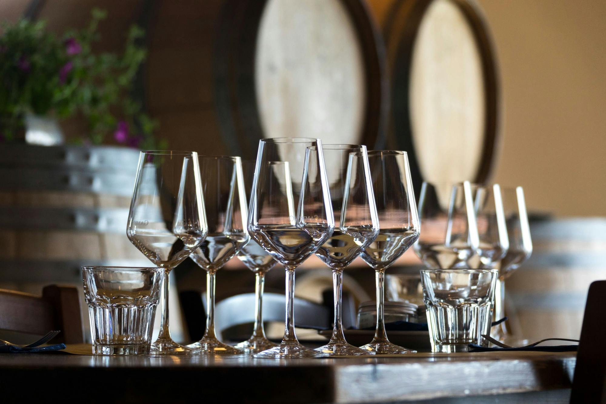 Exclusive small group Salento wine experience from Ionian coast