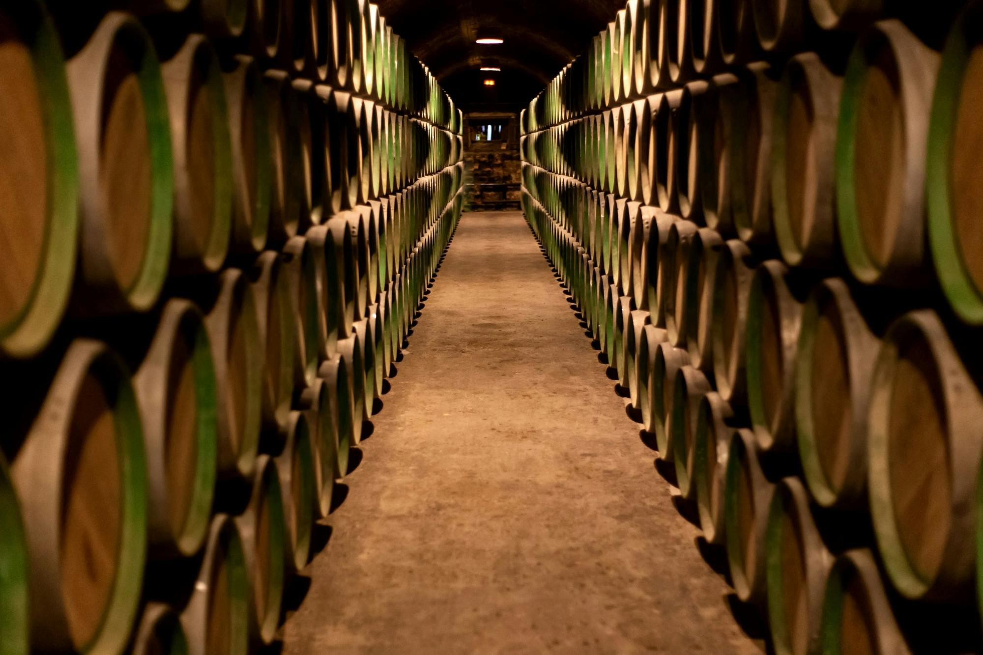 Exclusive small group Salento wine experience from Ionian coast