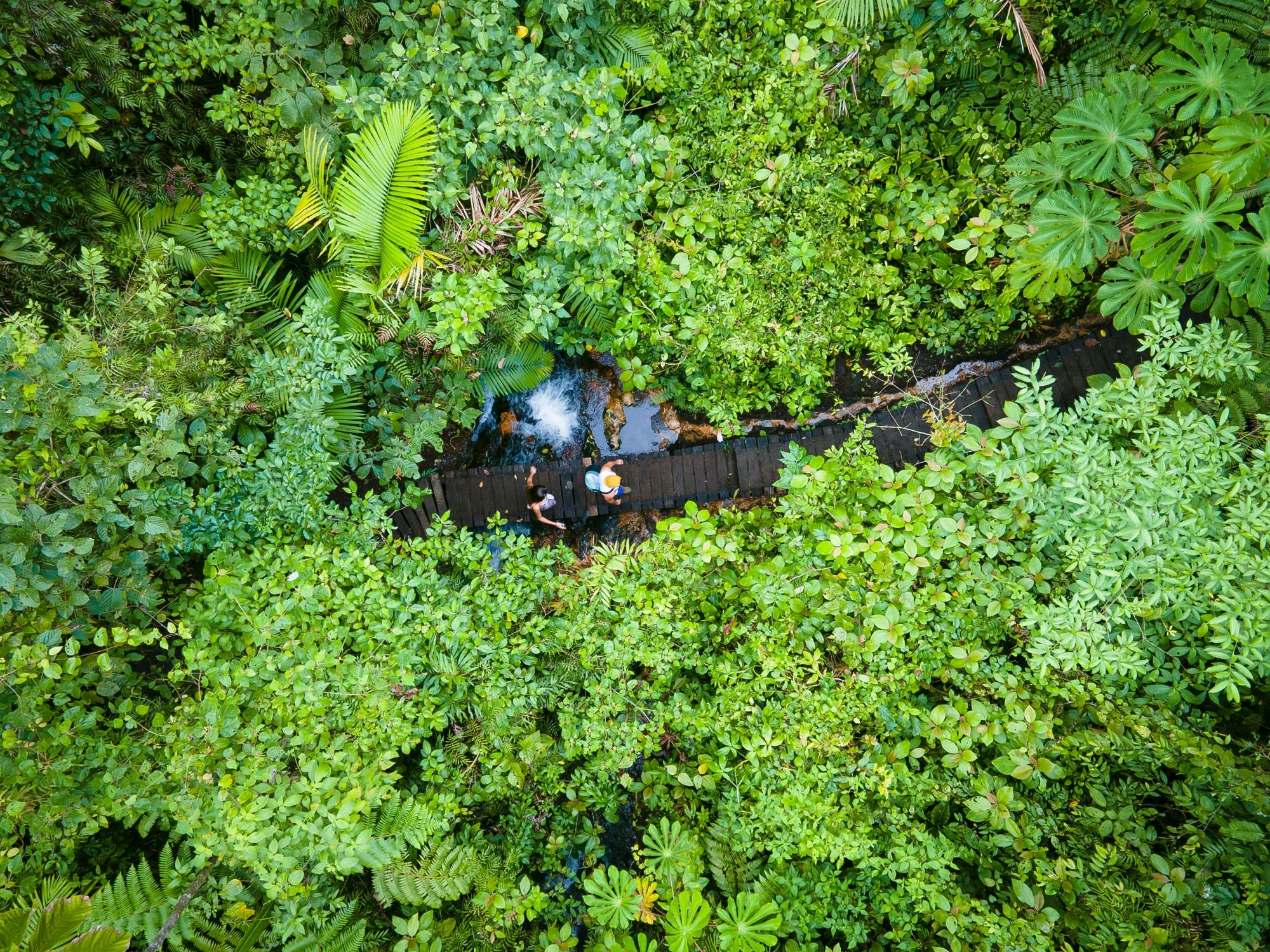 Sensoria Rainforest Hiking Tour