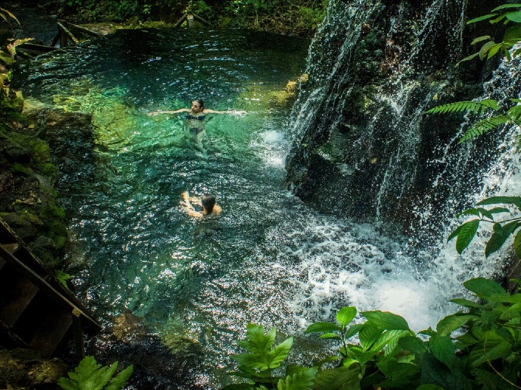 Sensoria Rainforest Hiking Tour