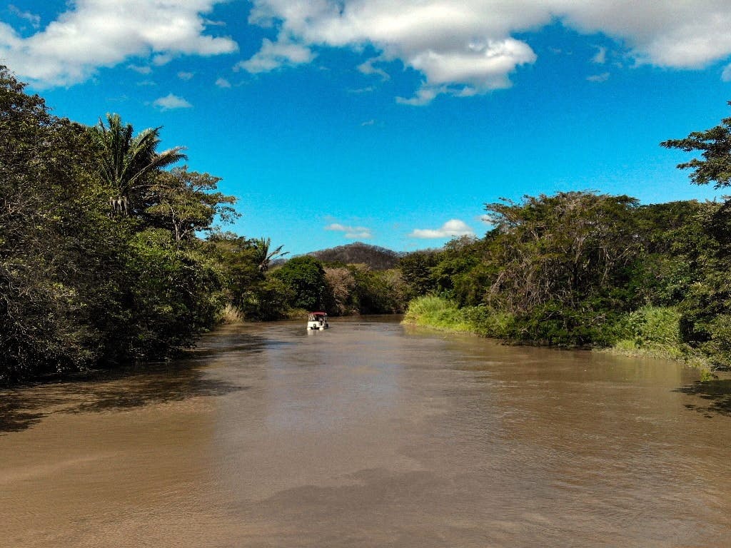 Rum Estate & Ecological Boat Tour