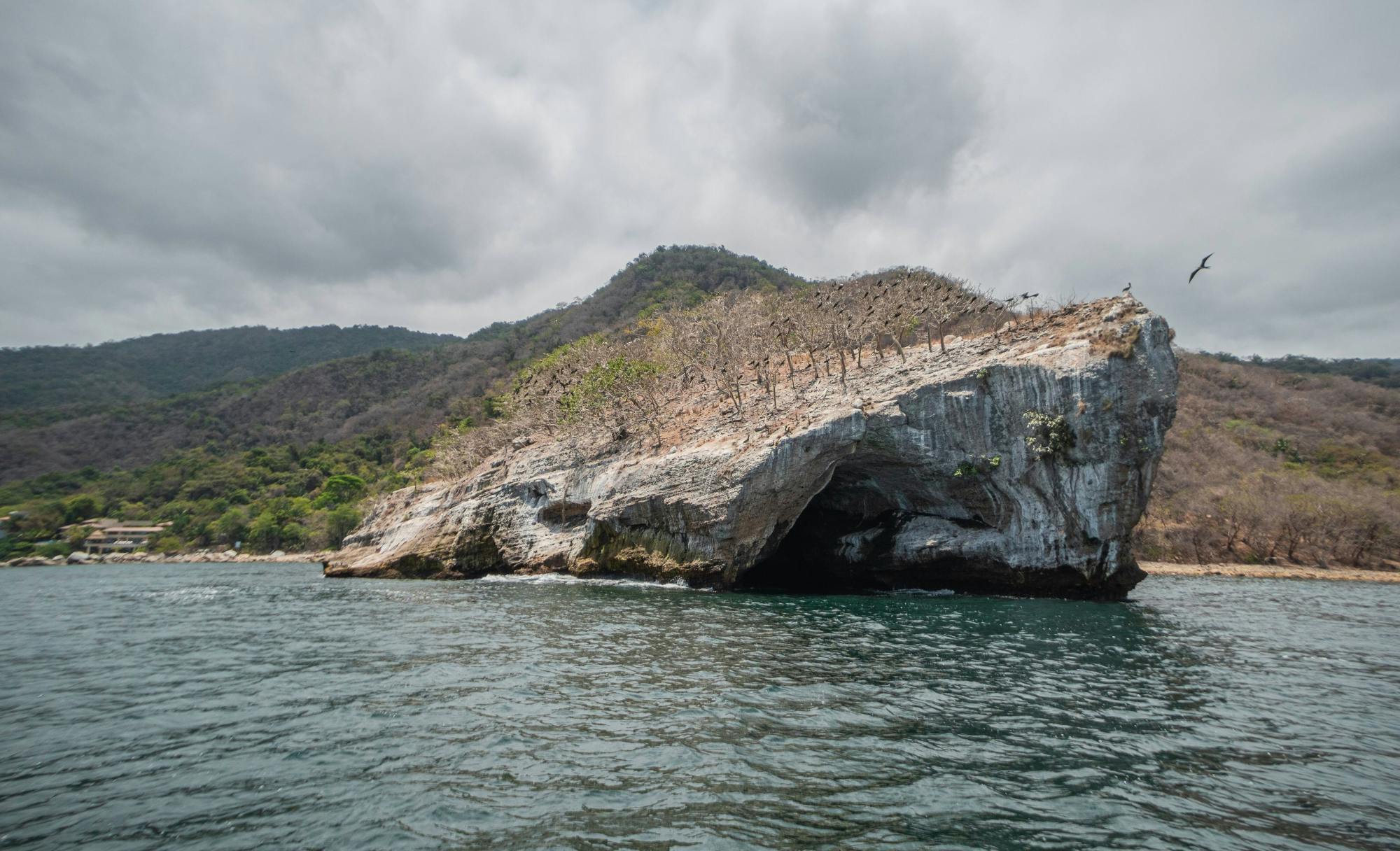 Puerto Vallarta Private Fishing Boat Charter