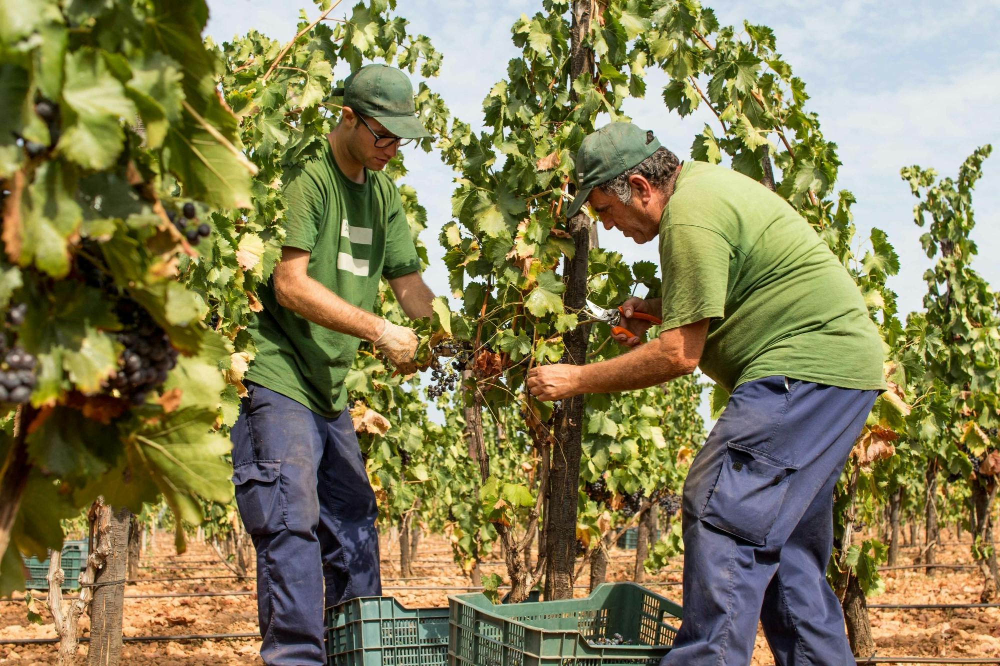 TUI Marathon Carb-Loading Mittagessen - Samstag 19.10.2024