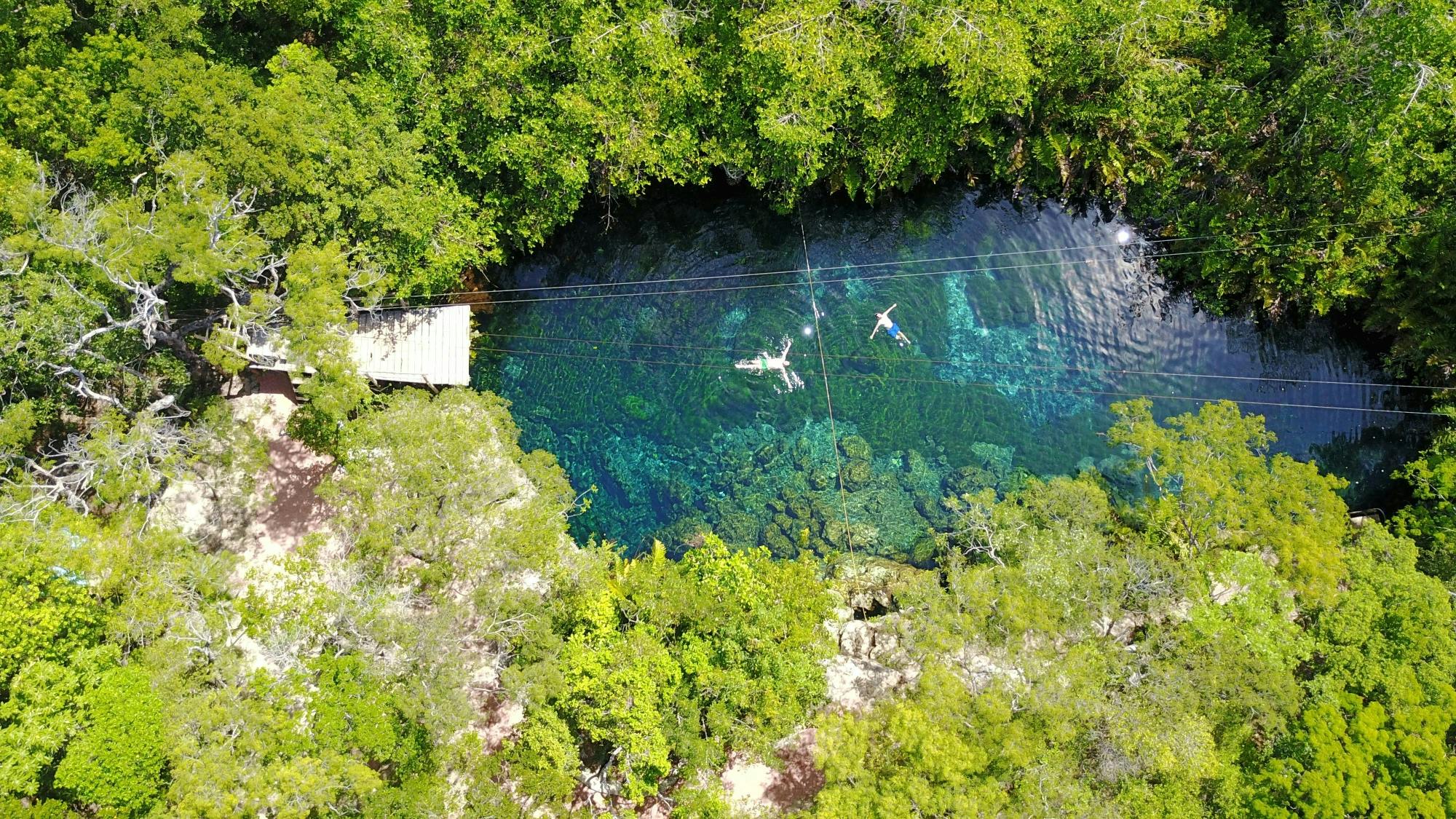 Cenotes und Schwimmen mit Schildkröten - Private Tour