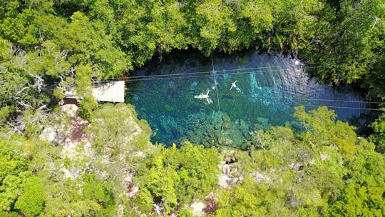 Cenotes en zwemmen met schildpadden privétour