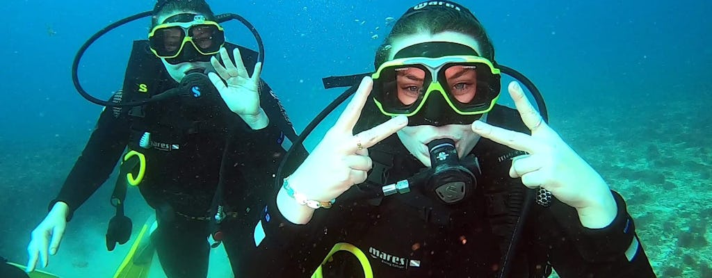 Boa Vista Diving Experiences