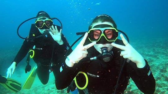 Experiencias de buceo en Boa Vista