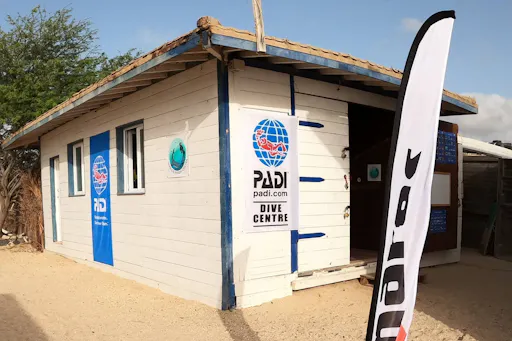 Boa Vista Diving Experiences