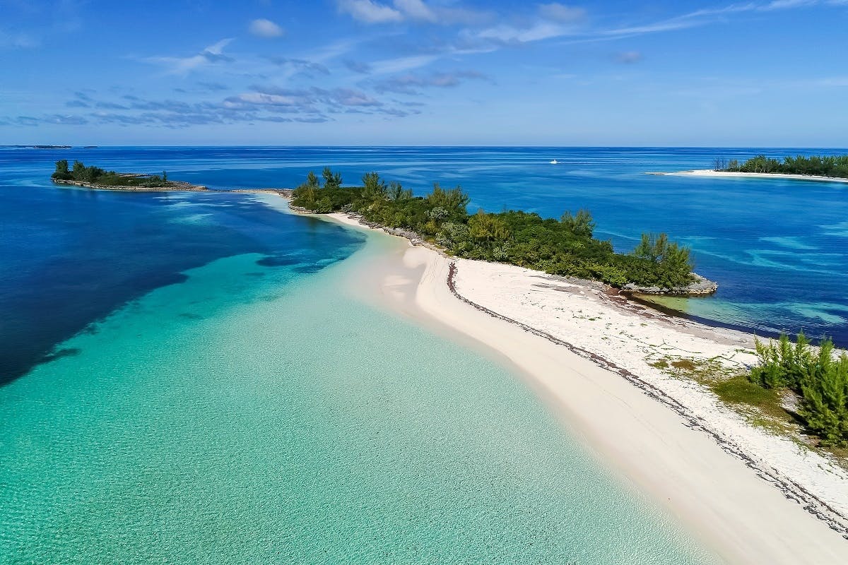 Visite de Green Turtle Cay, Pigs Island et Rose Island