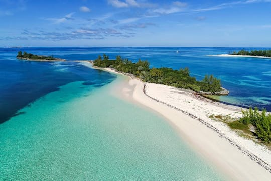 Green Turtle Cay, Pigs Island and Rose Island Tour