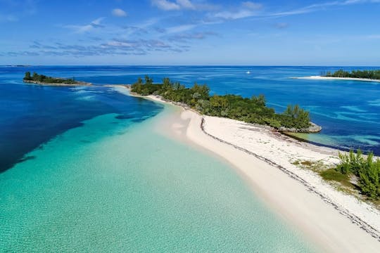 Excursão Green Turtle Cay, Ilha dos Porcos e Ilha Rose