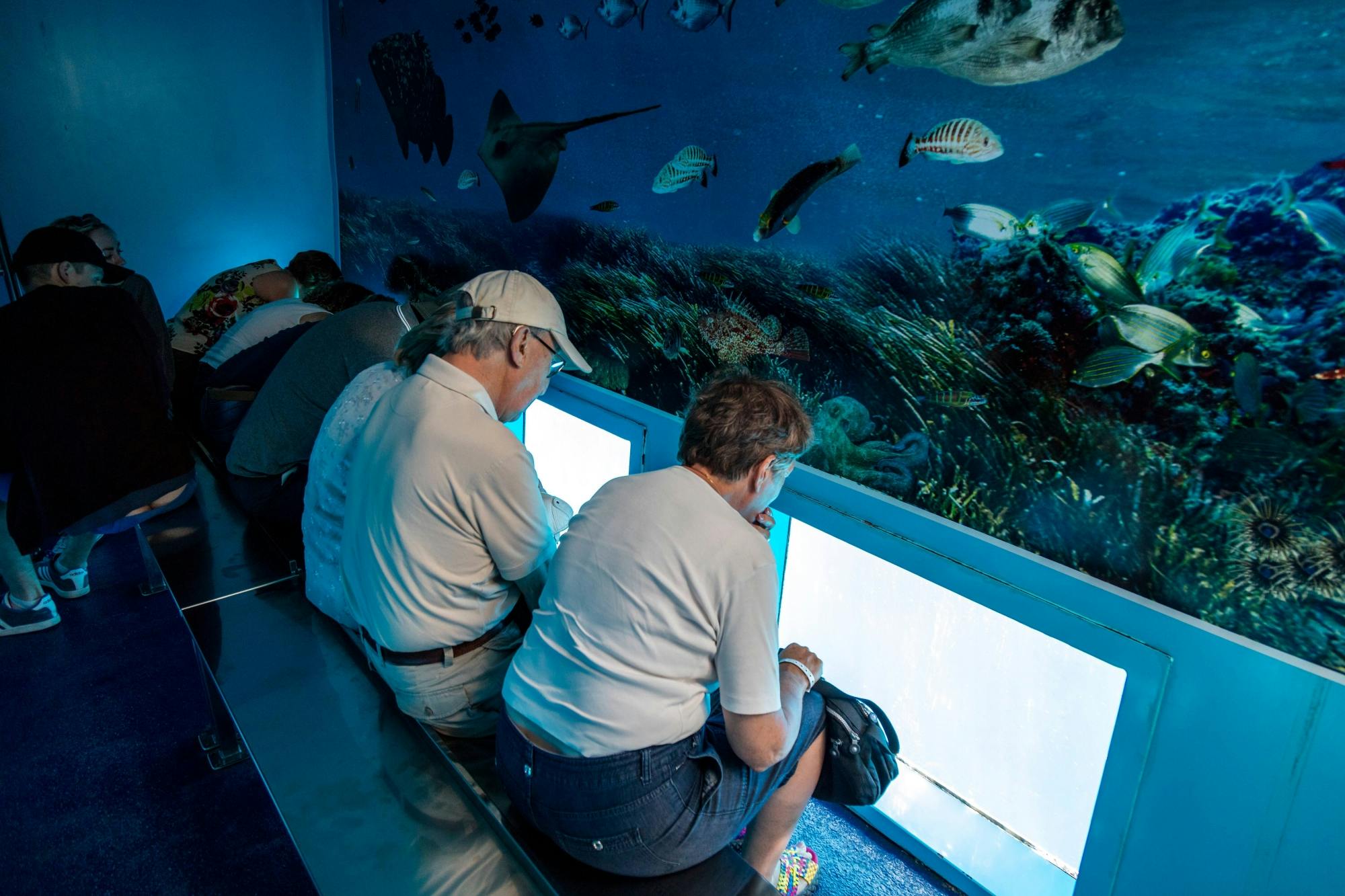 Mahon Harbour Glass-bottom Boat Tour