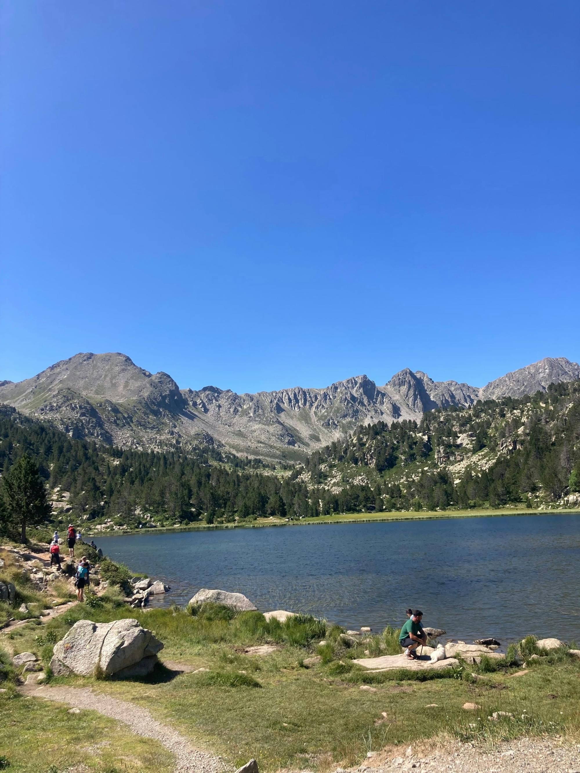 Activity Image