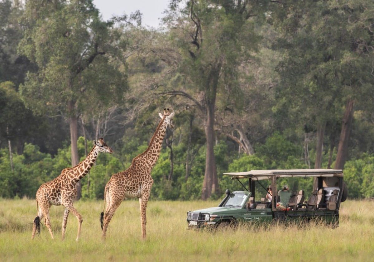 Masai Mara 2-day safari at Governors Camp