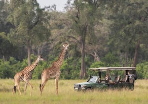 Maasai Mara: Excursions sur plusieurs jours de Mombasa