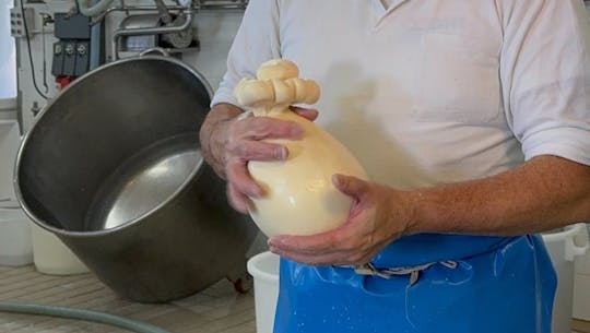 Bezoek aan Masseria Cappella met workshop mozzarella en brood bakken