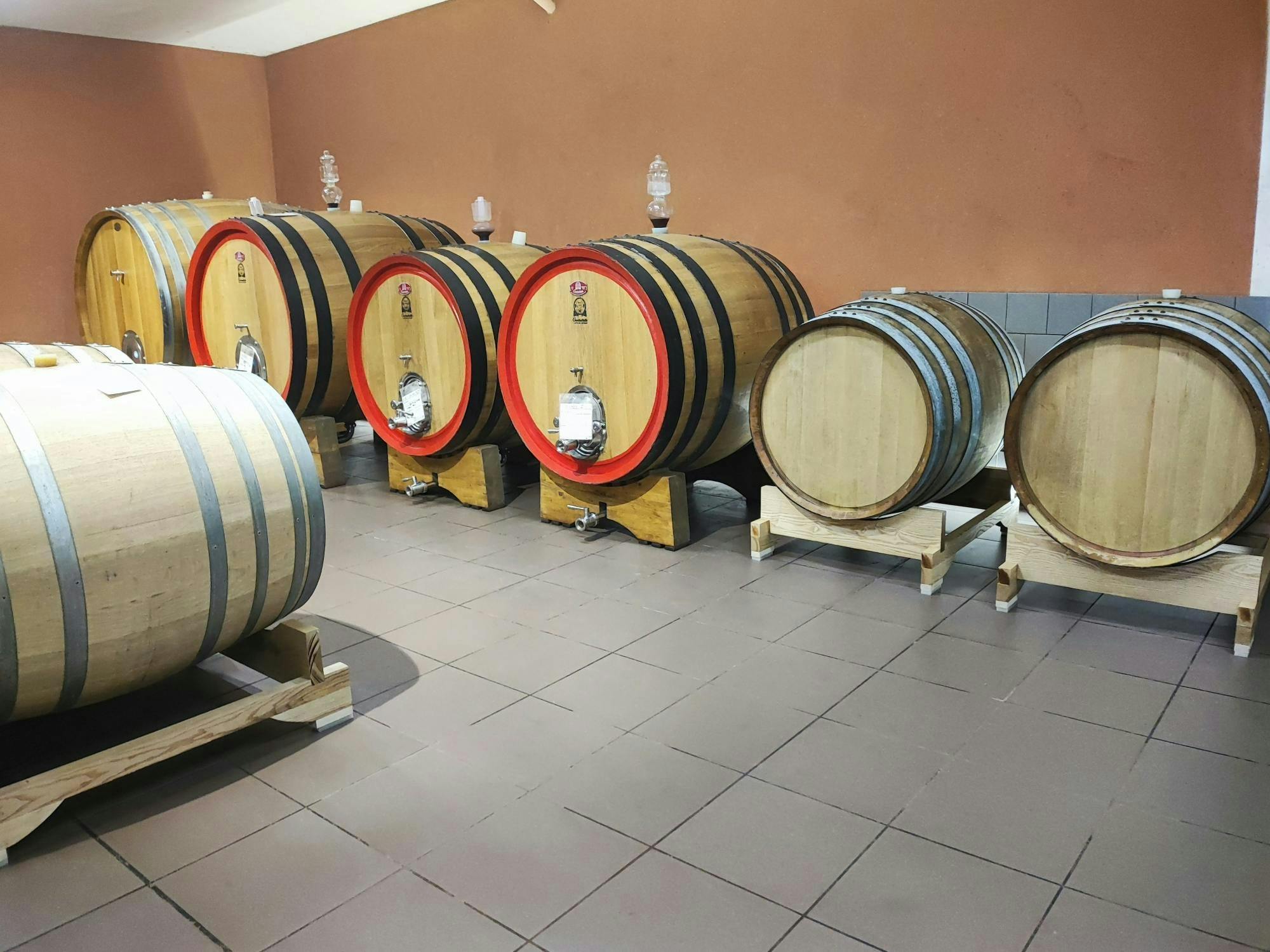 Esperienza di degustazione di vini nel versante sud dell'Etna