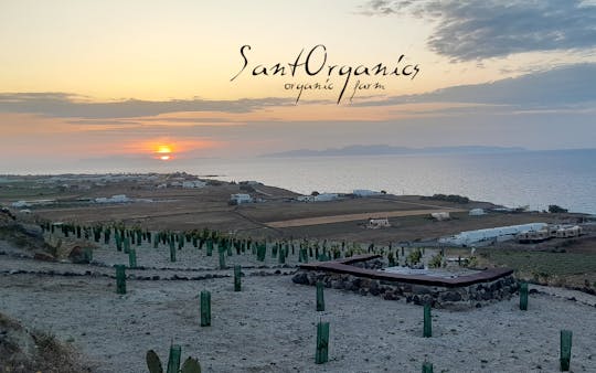 Visita agroeducativa privada em Santorini a uma fazenda orgânica