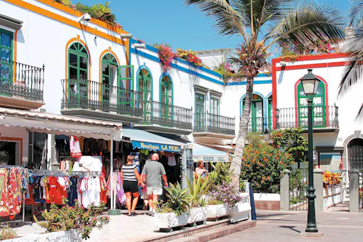 Gran Canaria Dolphin Watching Cruise & Puerto de Mogan Market