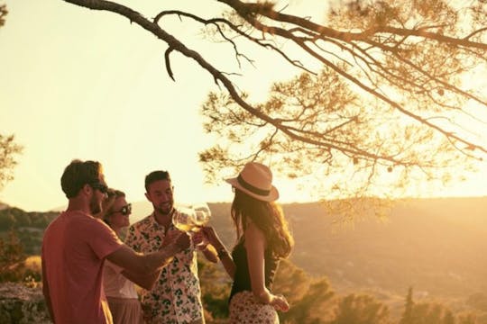 Excursión de lujo de un día al Valle del Loira con catas de vino y almuerzo con estrellas Michelin