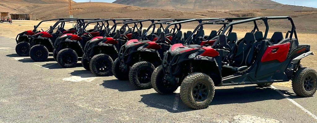 Family Buggy Tour Lanzarote