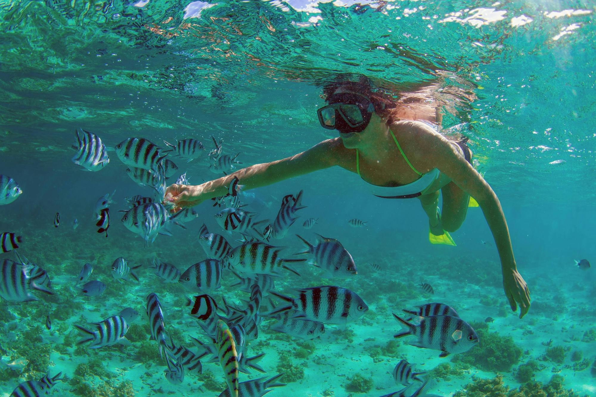 Cabo Pulmo Snorkelling Tour