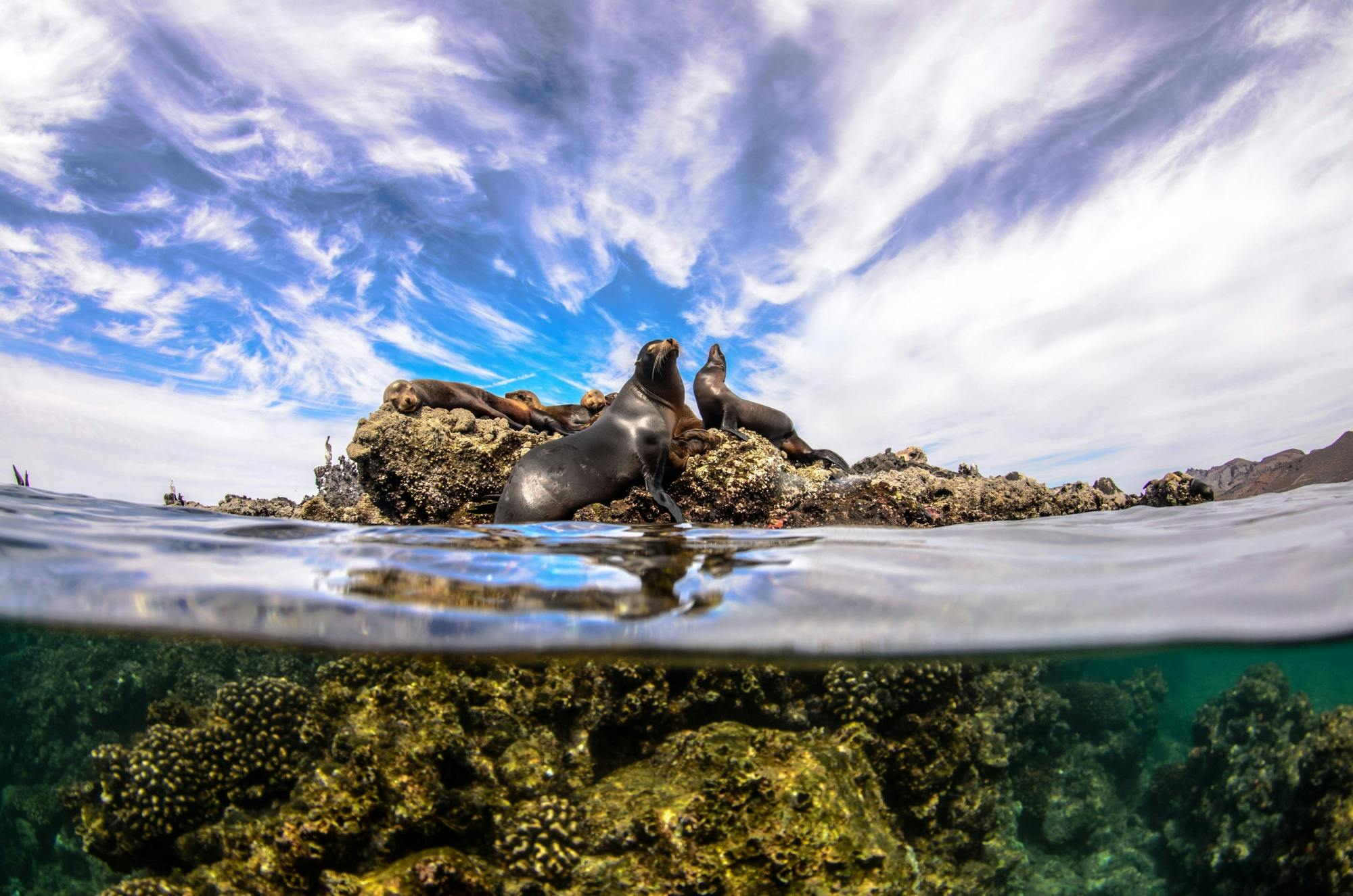 Cabo Pulmo Snorkelling Tour