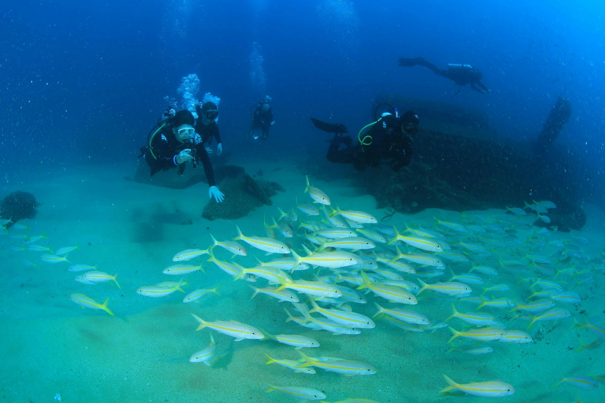 Los Cabos Two Tank Scuba Diving