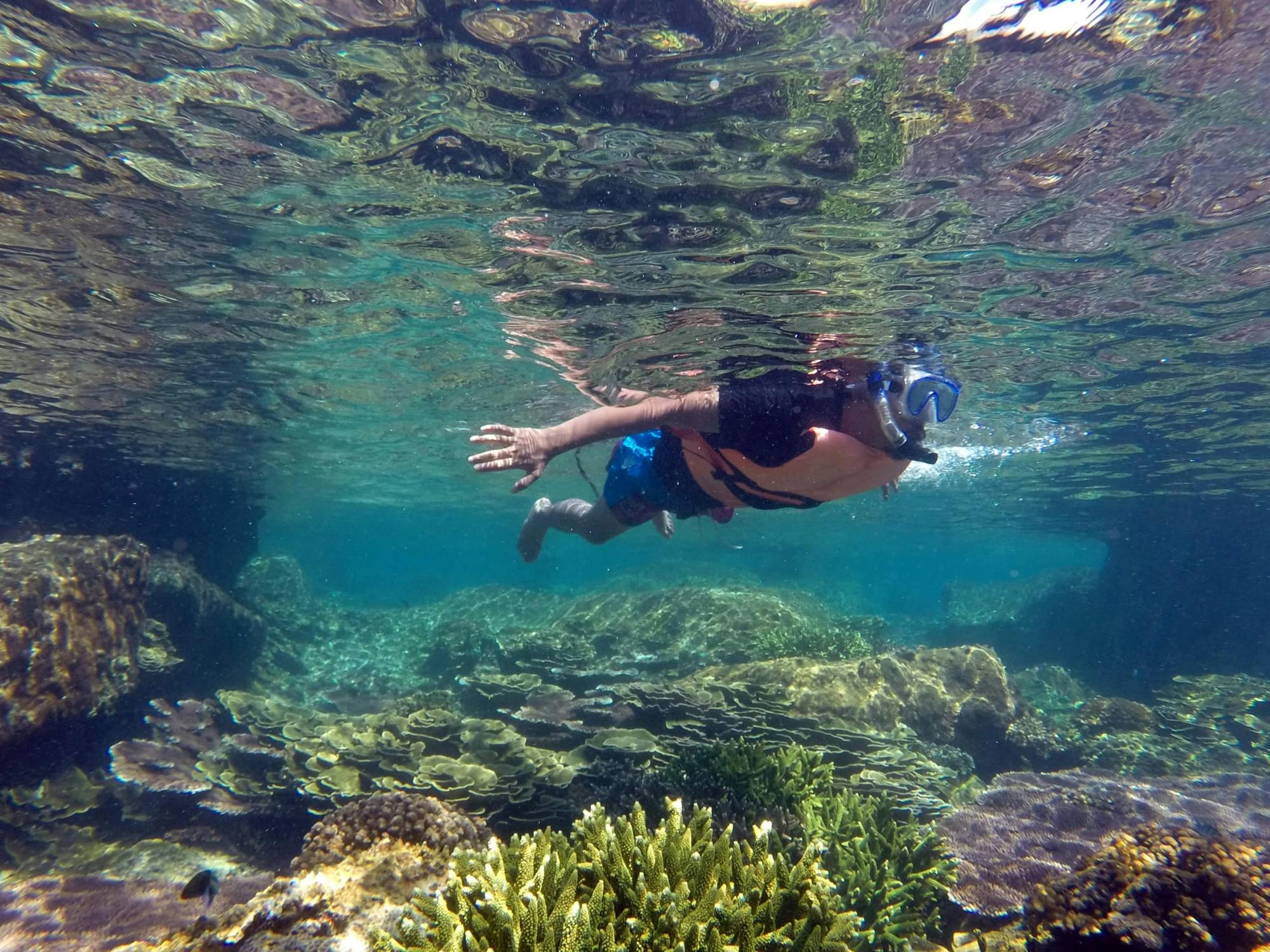 Cabo Pulmo Snorkelling Tour