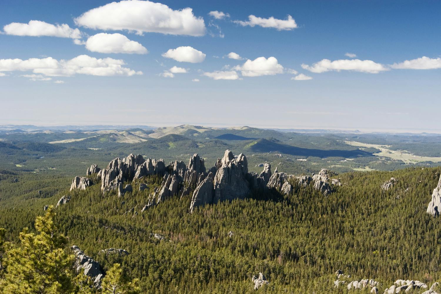 Recorrido en coche autoguiado desde Black Hills hasta el monte Rushmore