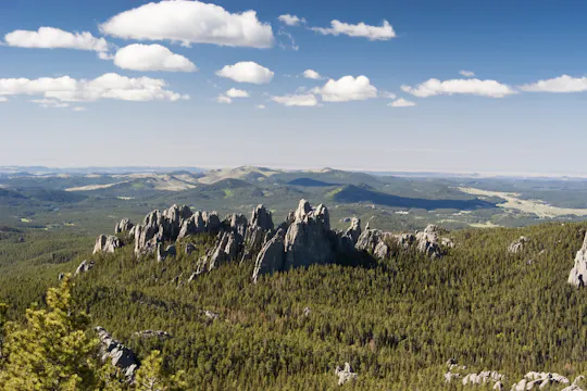 Wycieczka samochodowa z przewodnikiem z Black Hills do Mount Rushmore