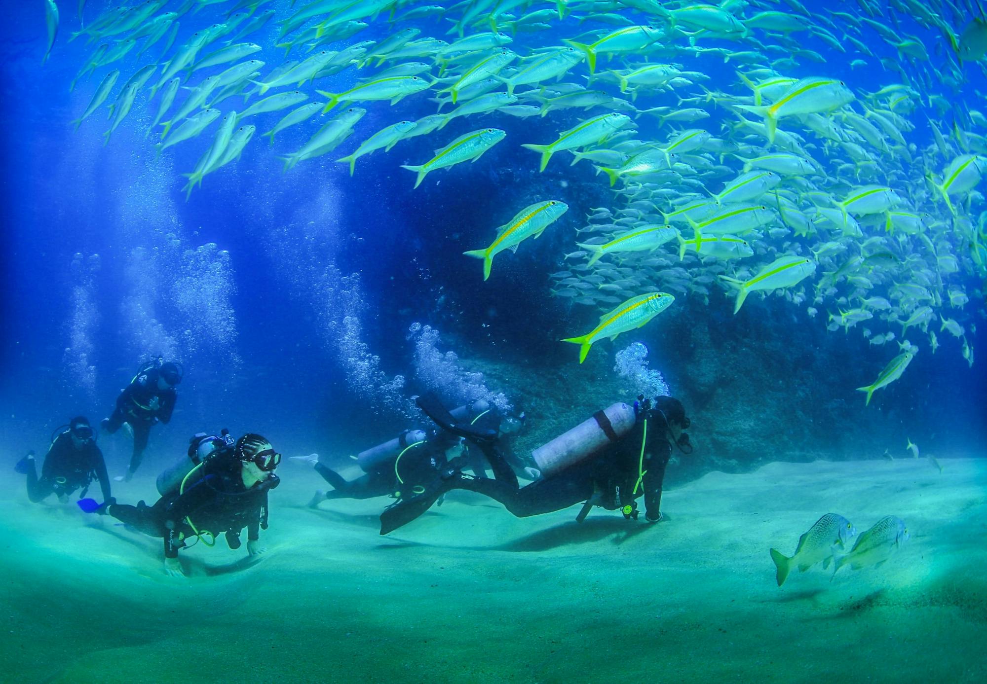 Plongée sous-marine à deux bouteilles à Los Cabos