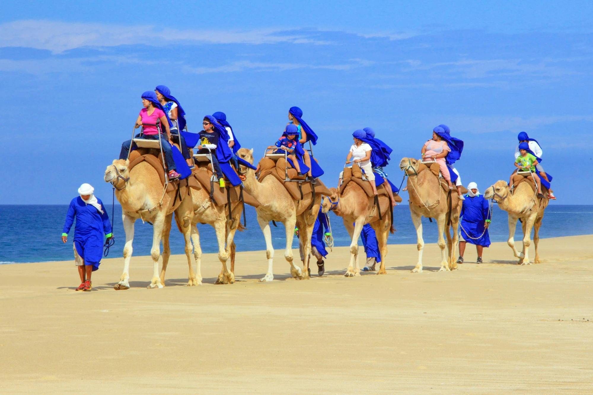 Randonnée dans le désert de Baja et excursion à dos de chameau