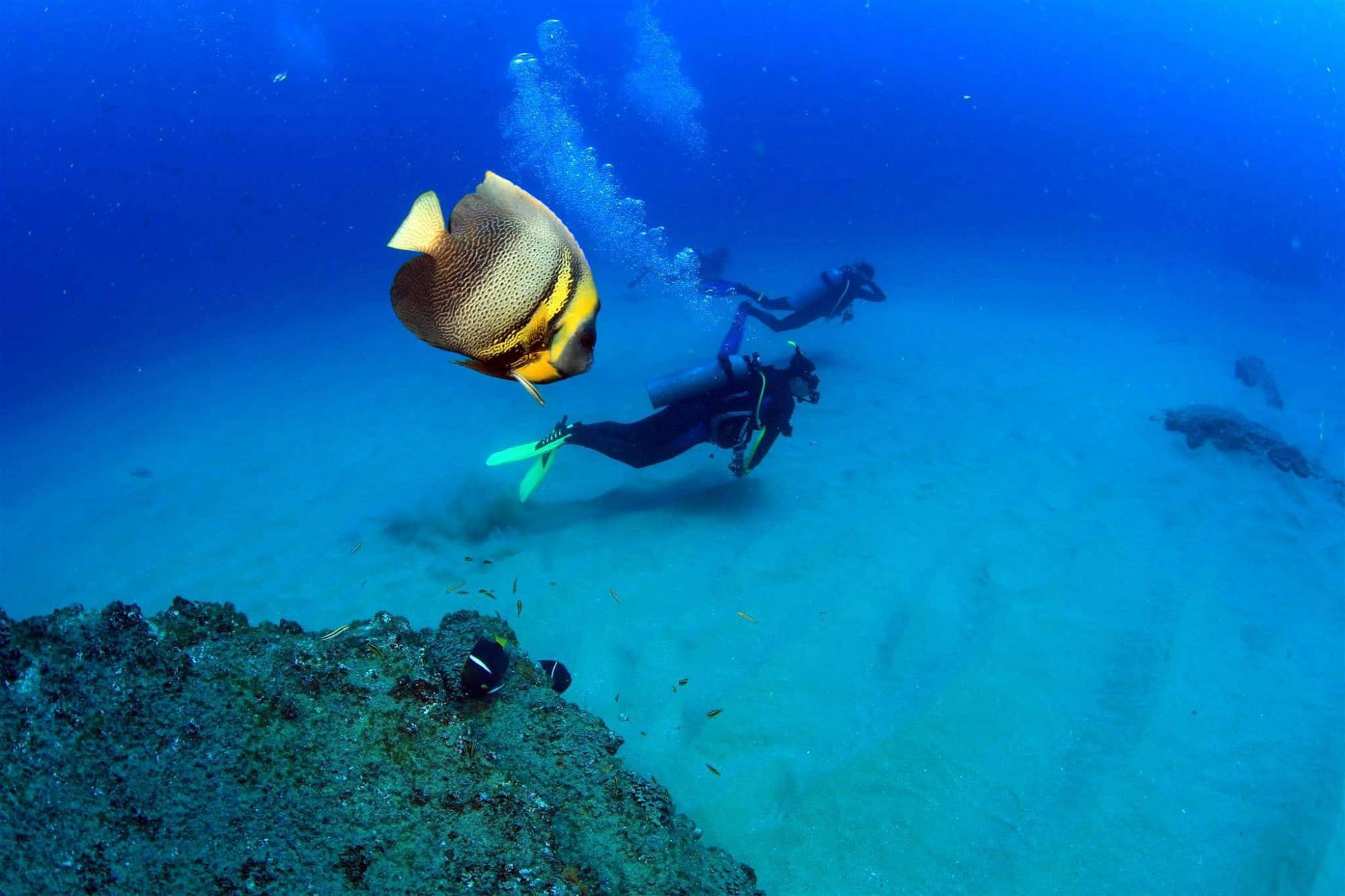 Cabo Pulmo Scuba Tour