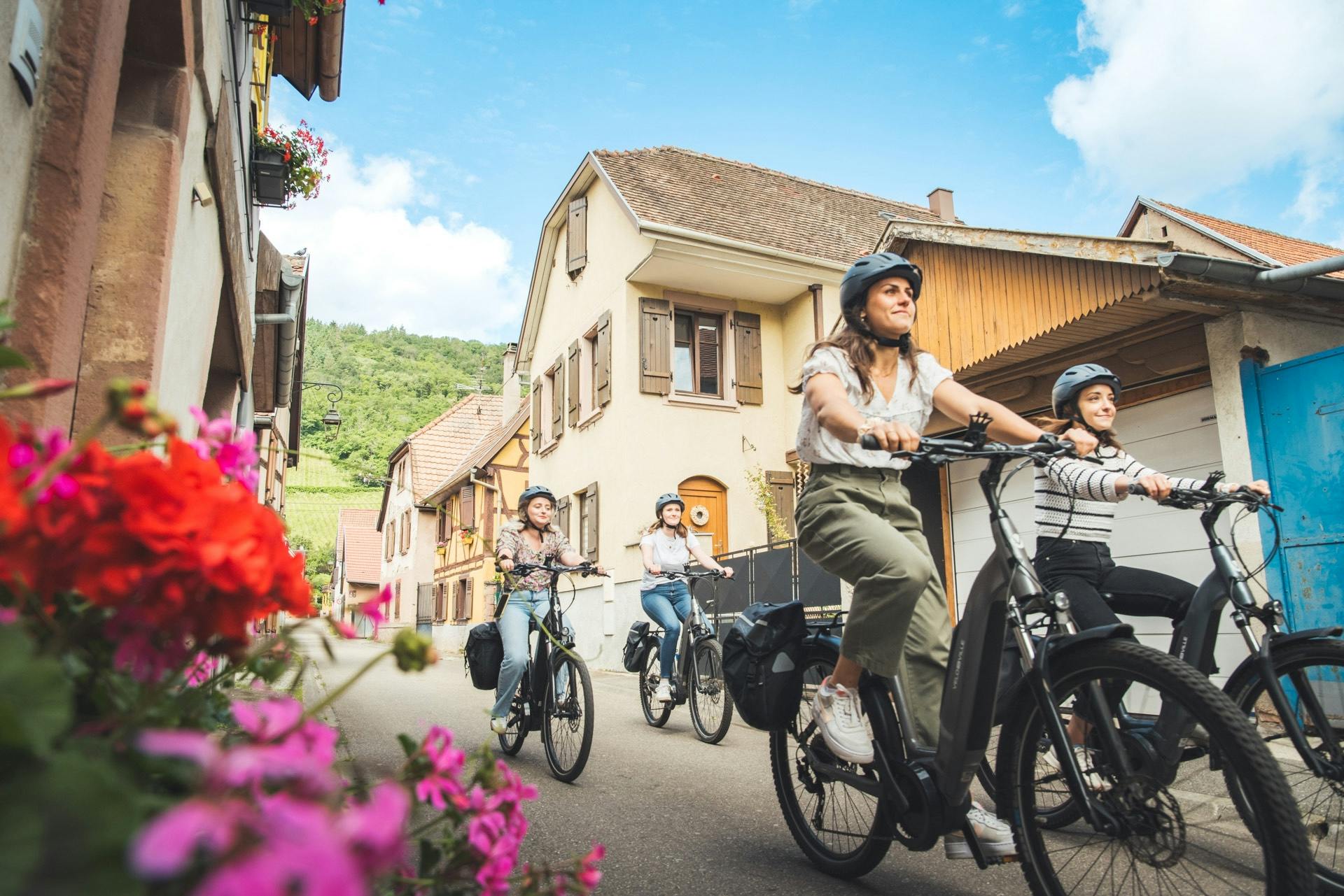 Tour privé à vélo sur la route des vins d'Alsace