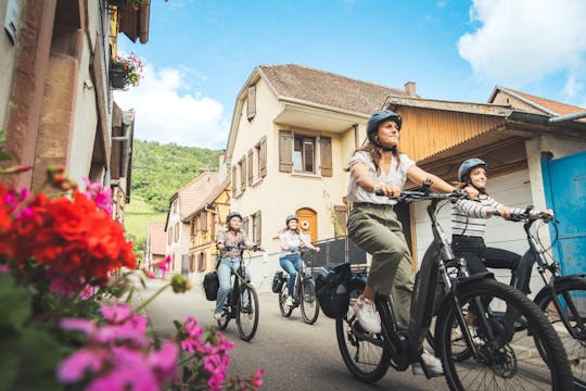 Tour privé à vélo sur la route des vins d'Alsace