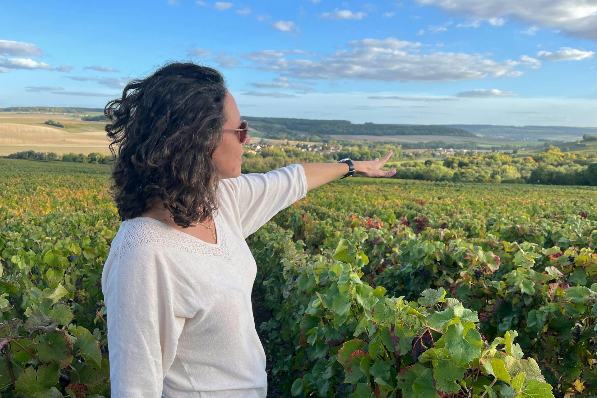 Viagem de um dia de vinho para Sancerre saindo de Paris com degustações e almoço