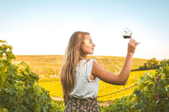 Sancerre: Private Weintour ab Paris mit Verkostungen und Mittagessen