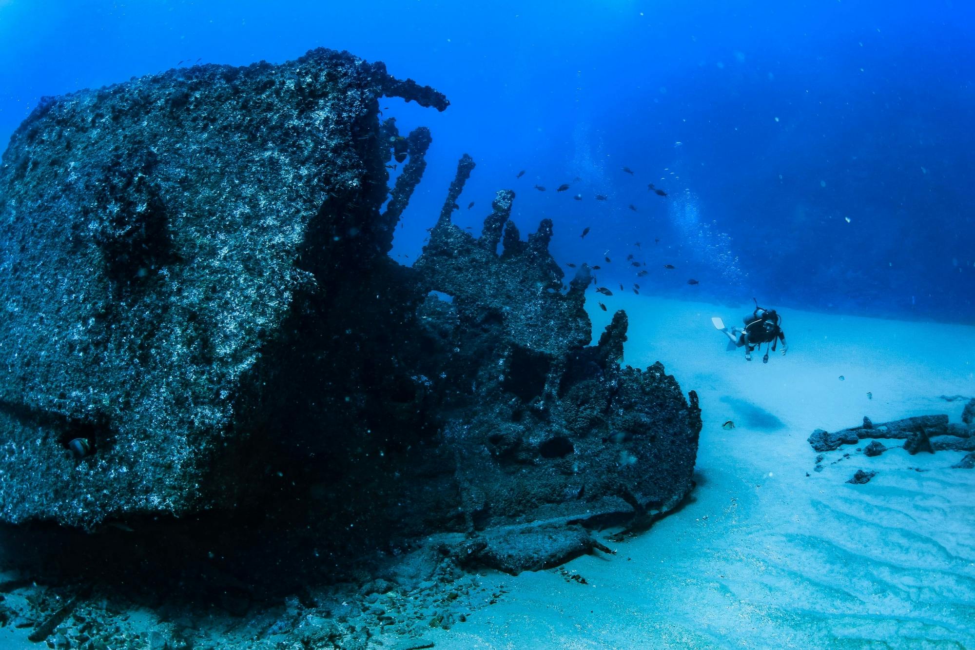 Los Cabos Two Tank Scuba Diving