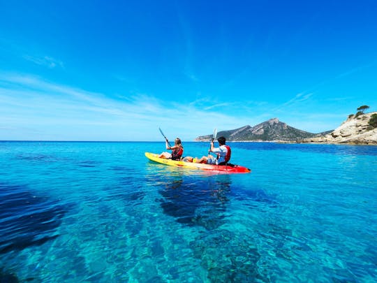 Nat Geo Day Tour: De onderzeese schatten van Mallorca, de Posidonia Oceanica