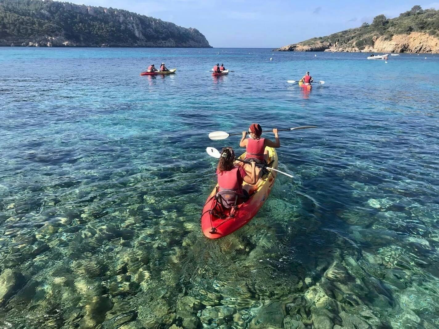 Nat Geo Day Tour: Marine Treasures of Mallorca, the Posidonia Oceanica