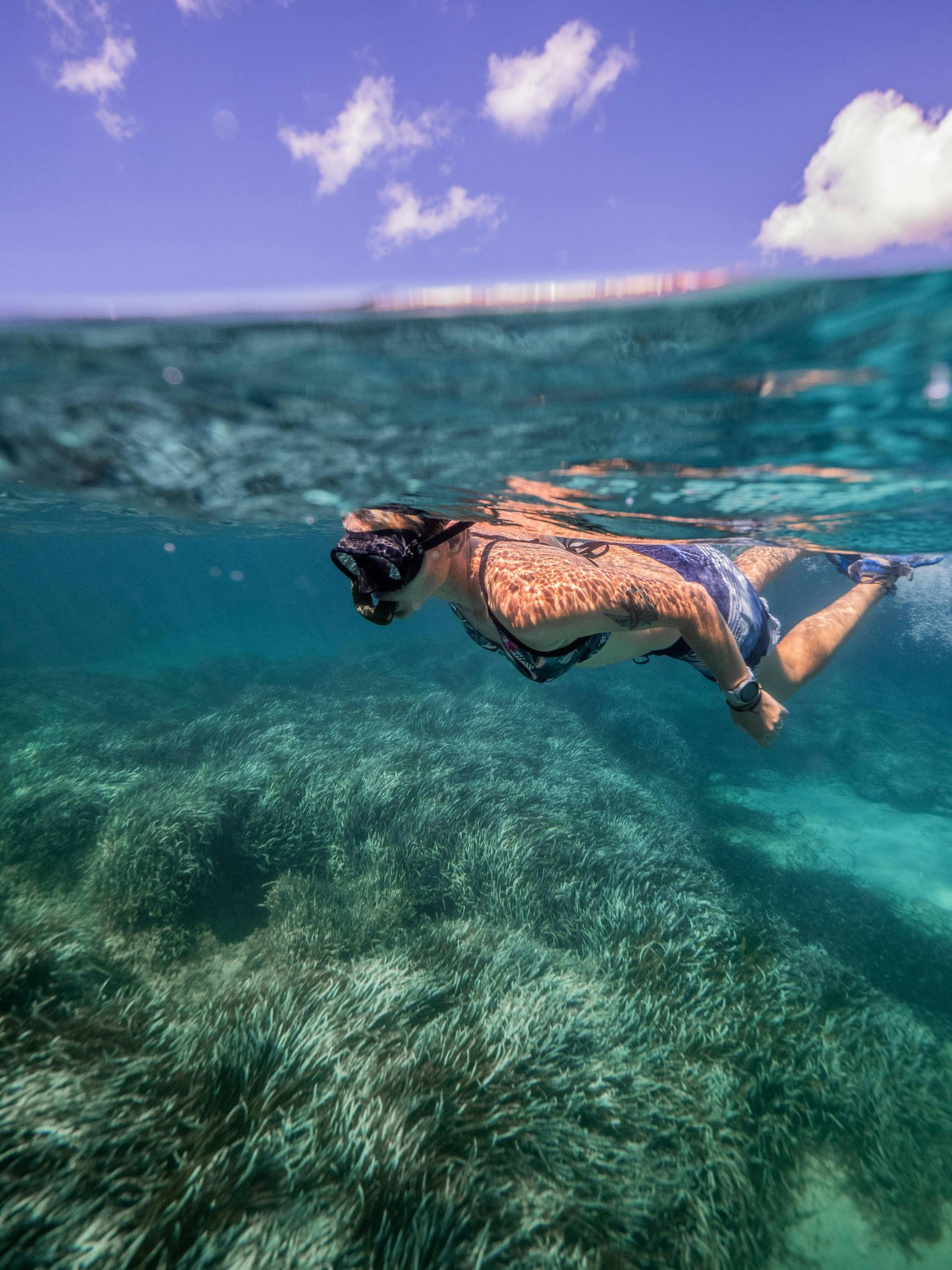 Nat Geo Day Tour: Marine Treasures of Mallorca, the Posidonia Oceanica