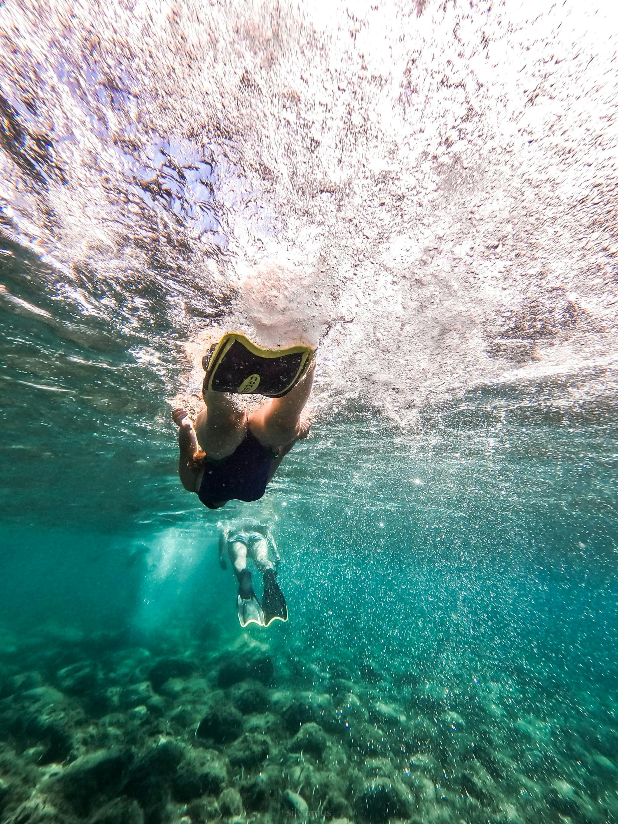 Nat Geo Day Tour: Marine Treasures of Mallorca, the Posidonia Oceanica