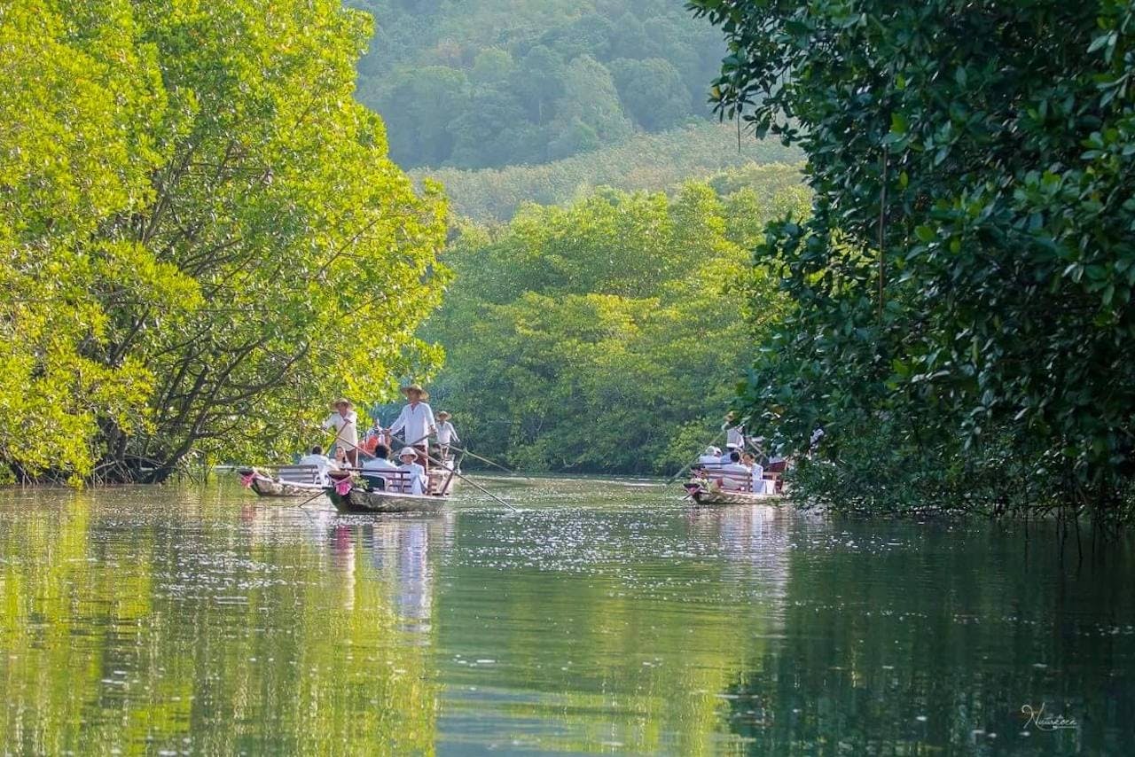 Tour en gondole dans la forêt de mangroves de Koh Chang