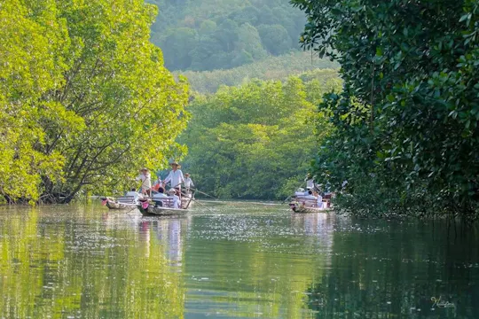 Passeio de gôndola pela floresta de mangue de Koh Chang Chang