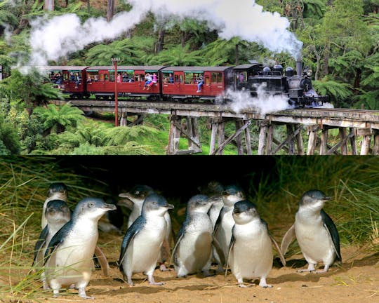 Recorrido en autobús del desfile de pingüinos de Puffing Billy y Phillip Island