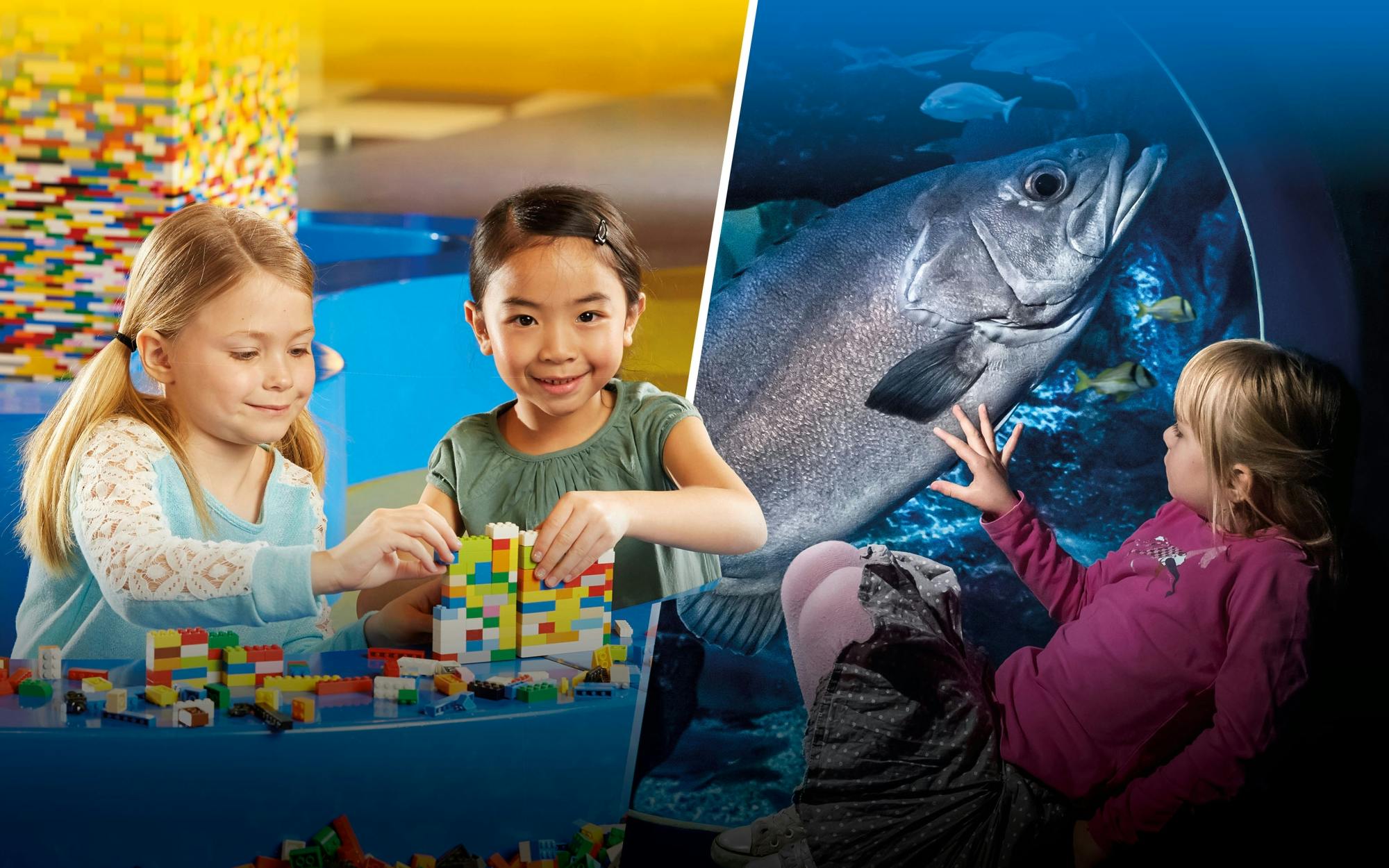 Biglietto combinato Legoland Discovery Center e Sea Life Berlino